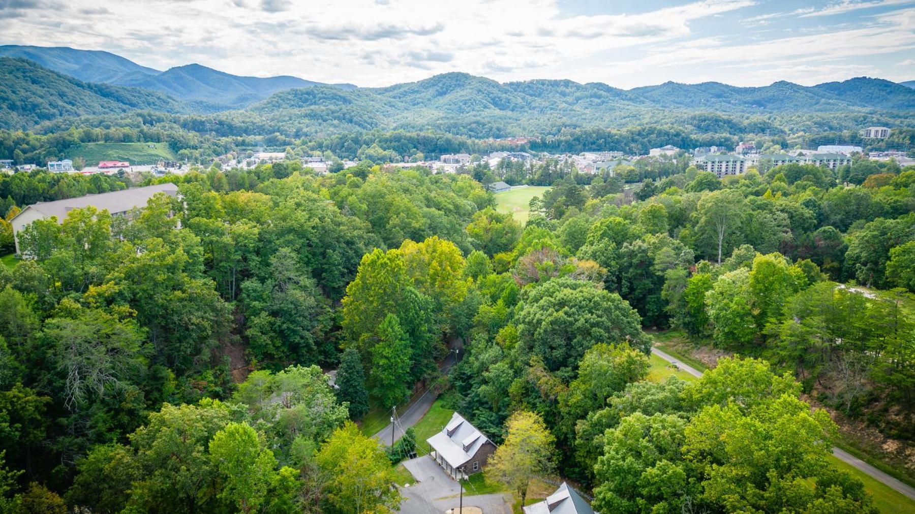 Bear Clubhouse Hot Tub, 1Mile From The Parkway, 900 In Free Tickets! Villa Pigeon Forge Eksteriør billede